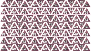 Optical Illusion Find it Out: Within 5 Seconds Spot The Number 66 among 68