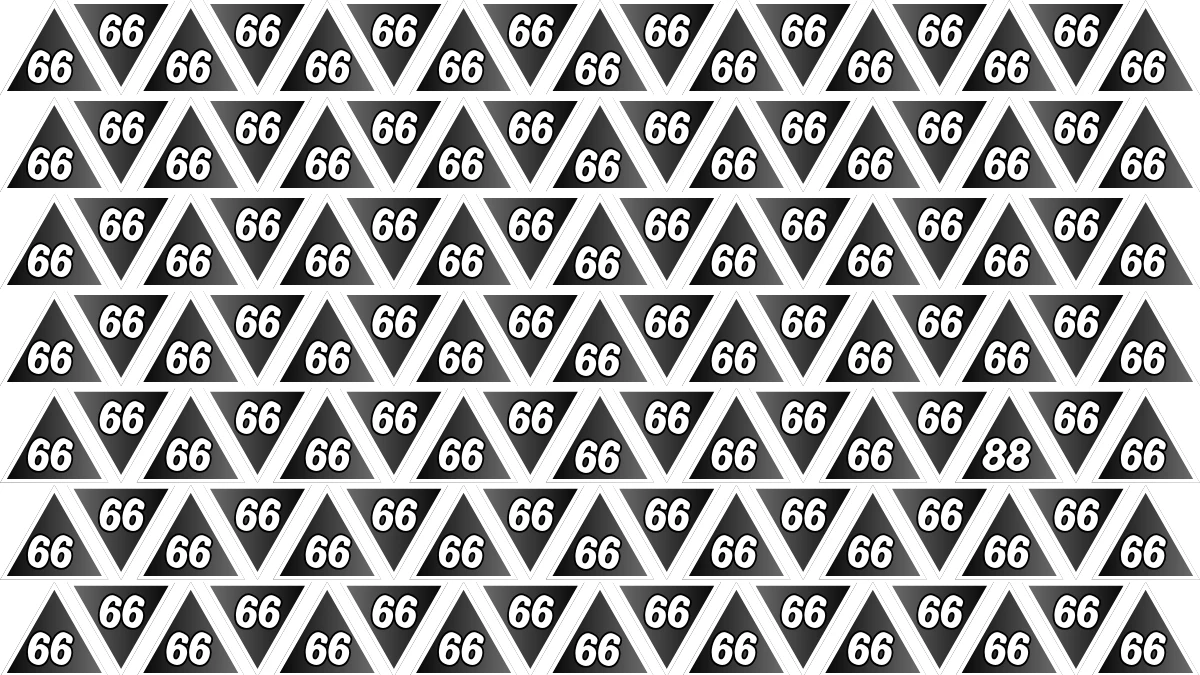 Optical Illusion Find it Out: Within 5 Seconds Spot The Number 88 among 66