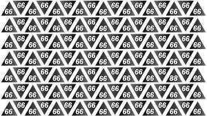 Optical Illusion Find it Out: Within 5 Seconds Spot The Number 88 among 66