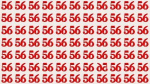 Optical Illusion IQ Test: Are You A Genius? Within 5 Seconds Spot The Inverted 5...