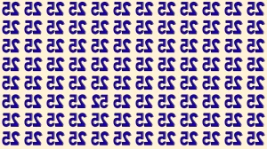 Optical Illusion IQ Test: Are You A Genius? Within 8 Seconds Spot The Inverted 5...