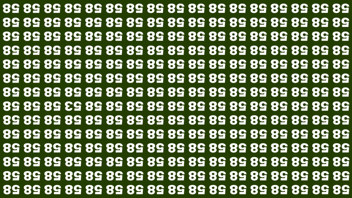 Optical Illusion IQ Test: Are You A Genius? Within 8 Seconds Spot The Inverted 53 among Inverted 58