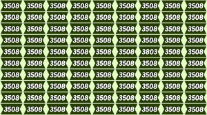 Optical Illusion Puzzle IQ Test: Within 6 Seconds Spot The Number 3803 among 350...