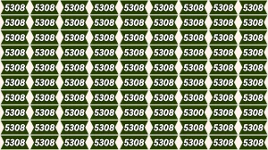 Optical Illusion Puzzle IQ Test: Within 8 Seconds Spot The Number 5300 among 530...