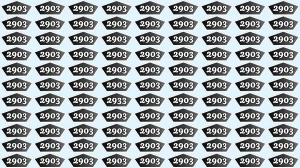 Optical Illusion Puzzle IQ Test: Within 9 Seconds Spot The Number 2933 among 290...
