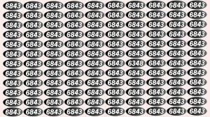 Optical Illusion Puzzle IQ Test: Within 9 Seconds Spot The Number 6348 among 684...