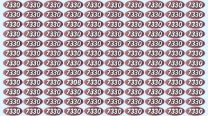 Optical Illusion Puzzle IQ Test: Within 9 Seconds Spot The Number 7308 among 733...