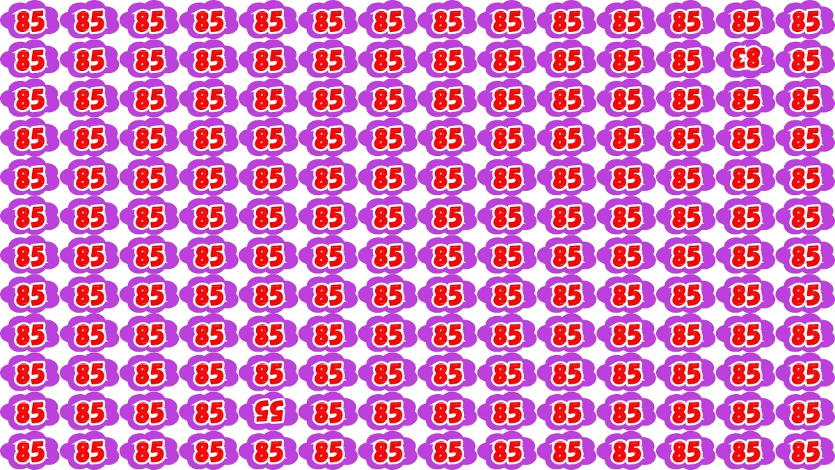 Optical Illusion: Within 8 Seconds Spot The Inverted Number 83 and 55 among 85