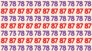 Optical Illusion: Within 9 Seconds Spot The Number 73 among 78 and 87