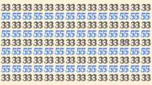 Optical Illusion: Within 9 Seconds Spot The Number 88 among 33 and 55