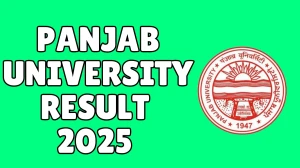 Panjab University Result 2025 Out at puexam.in Direct Link to Download 2nd and 4th Semester Result