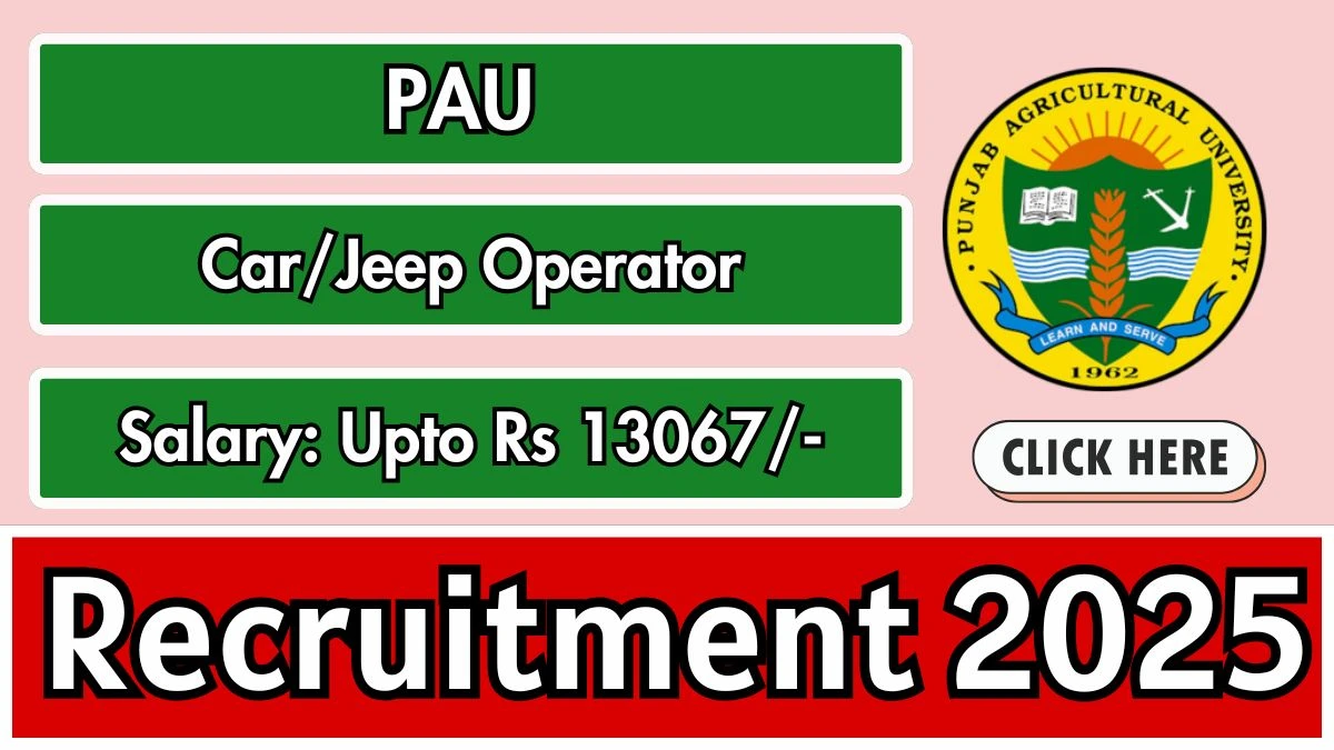 PAU Car/Jeep Operator Recruitment 2025 - Apply Offline