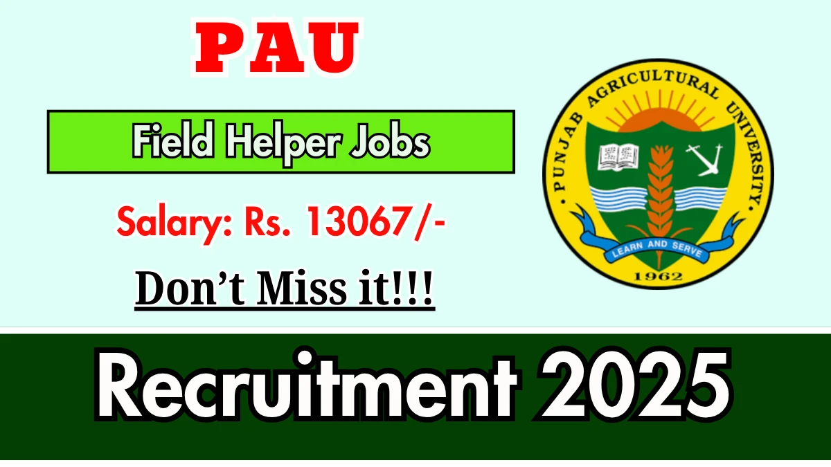 PAU Field Helper Recruitment 2025 - Apply Online for 03 Posts