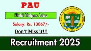 PAU Field Helper Recruitment 2025 - Apply Online for 03 Posts PAU Field Helper Recruitment 2025 - Apply Online for 03 Posts