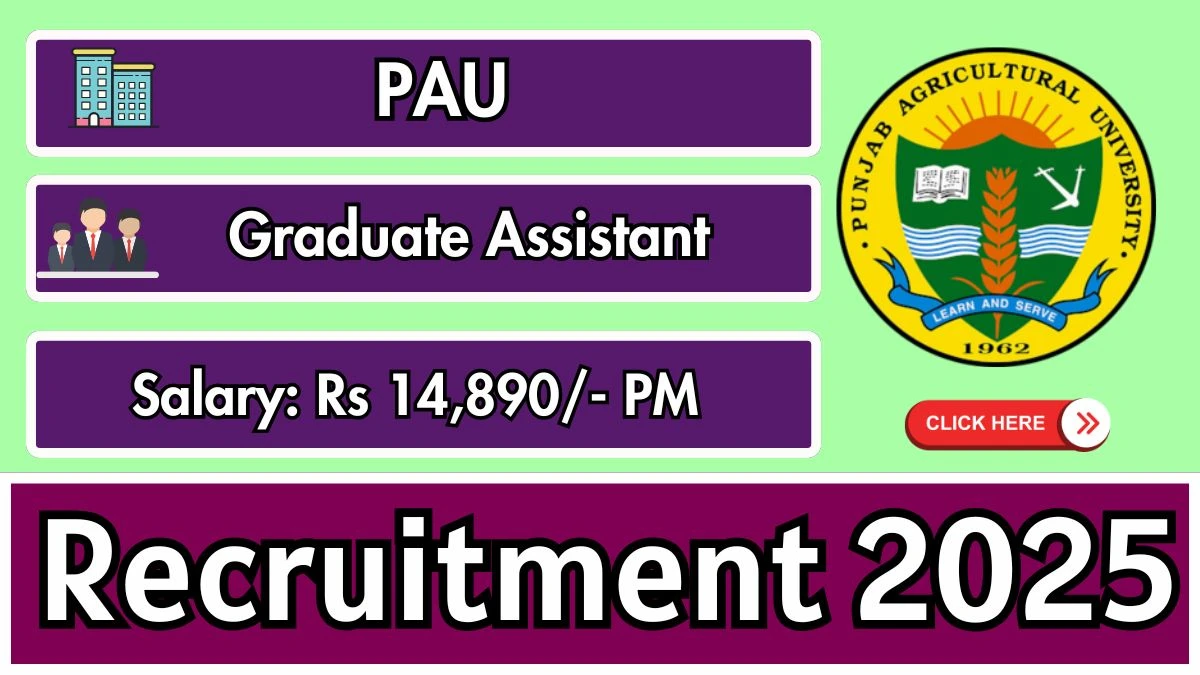 PAU Graduate Assistant Recruitment 2025 - Apply Offline for 01 Posts