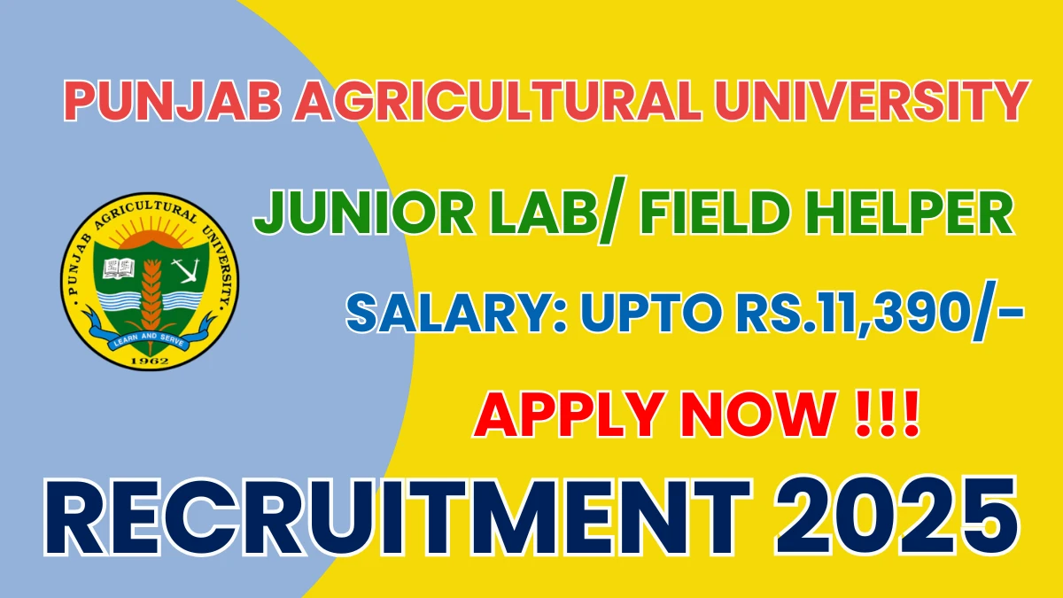 PAU Junior Lab/ Field Helper Recruitment 2025 – Apply Offline