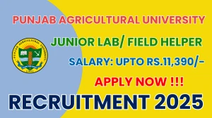 PAU Junior Lab/ Field Helper Recruitment 2025 – Apply Offline