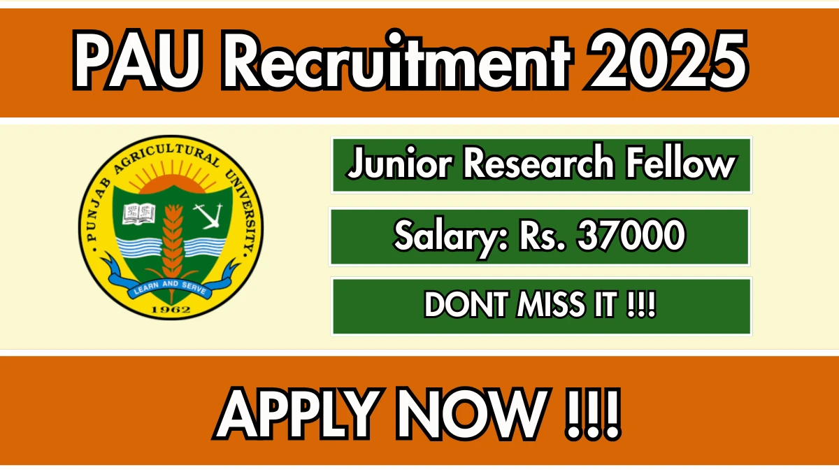 PAU Junior Research Fellow Recruitment 2025 - Apply Offline for 01 Posts