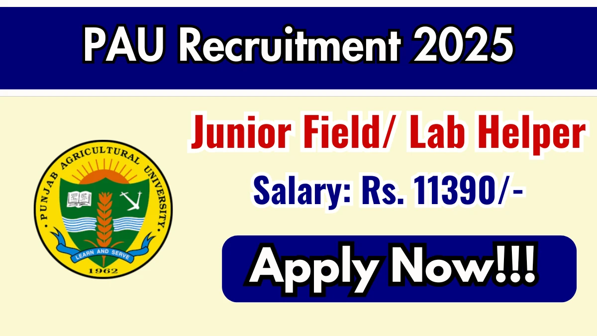 PAU Recruitment 2025 - Apply Online for  Junior Field/ Lab Helper Posts
