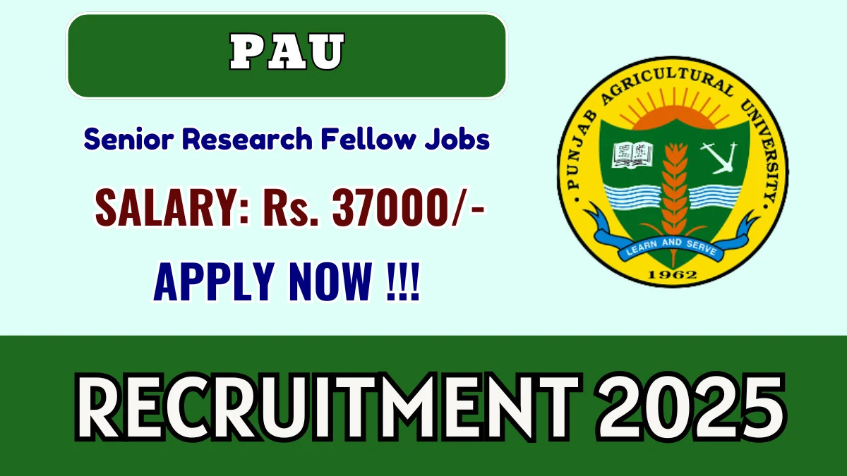 PAU Senior Research Fellow Recruitment 2025 - Apply Offline for 01 Posts