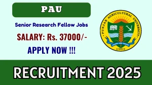 PAU Senior Research Fellow Recruitment 2025 - Apply Offline for 01 Posts PAU Senior Research Fellow Recruitment 2025 - Apply Offline for 01 Posts