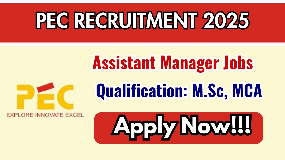 PEC Assistant Manager Recruitment 2025 - Apply Offline