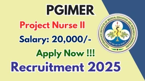PGIMER Project Nurse II Recruitment 2025 – Apply Online PGIMER Project Nurse II Recruitment 2025 – Apply Online
