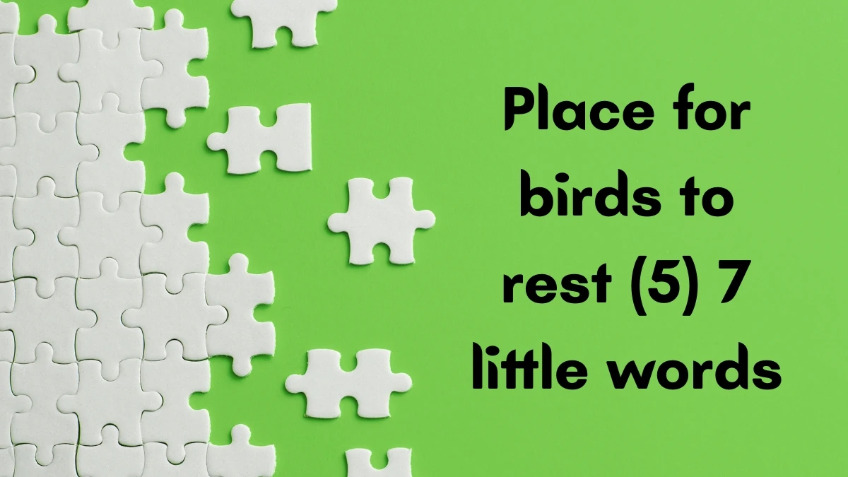 Place for birds to rest 7 Little Words 5 letters Answer