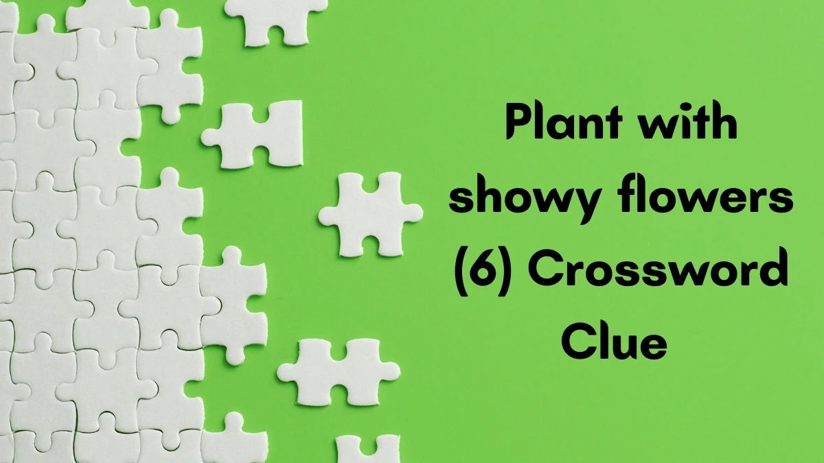 Plant with showy flowers Crossword Clue Irish Daily Mail Quick 6 letters Answer