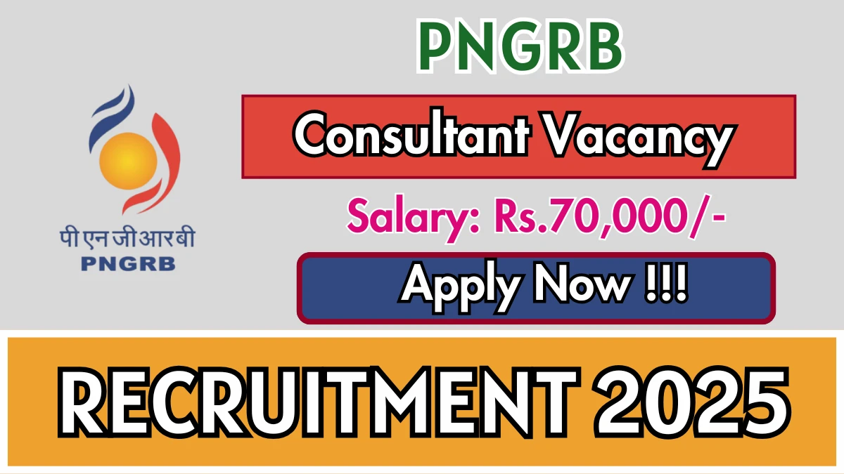 PNGRB Consultant Recruitment 2025 - Apply Offline
