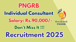 PNGRB Individual Consultant Recruitment 2025 - Apply Offline