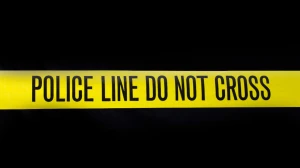 Pregnant Woman Found Dead with Burns in Thrissur; Husband Booked for Dowry Haras...