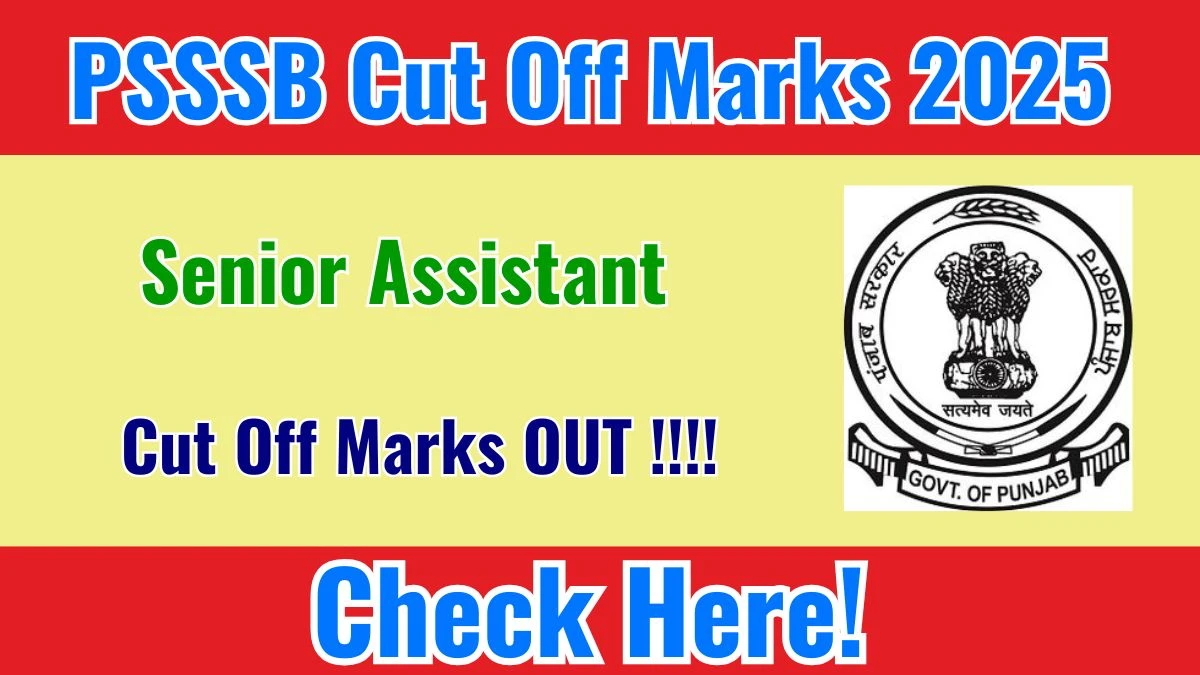 PSSSB Senior Assistant Cut Off Marks 2025 OUT: Download PDF, Category Wise Marks and More