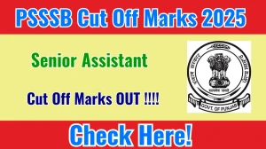 PSSSB Senior Assistant Cut Off Marks 2025 OUT: Download PDF, Category Wise Marks and More PSSSB Senior Assistant Cut Off Marks 2025 OUT: Download PDF, Category Wise Marks and More
