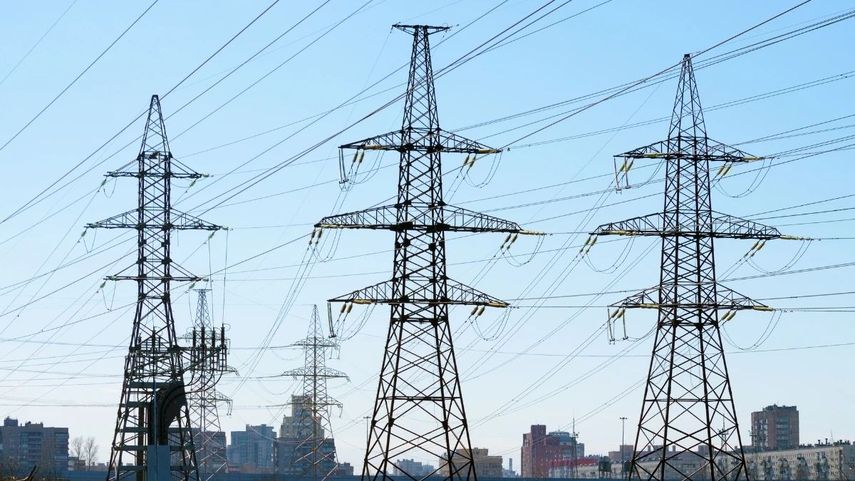 Punjab Govt Sacks PSPCL Director Over Allegations of Serious Misconduct