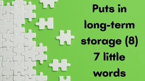 Puts in long-term storage 7 Little Words 8 letters Answer