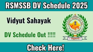 RSMSSB Junior Technical Assistant and Account Assistant DV Schedule 2025 Released: Check Document Verification Dates at rssb.rajasthan.gov.in