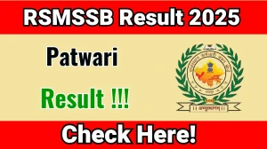 RSMSSB Patwari Result 2025 – Direct Link to Check Your Score