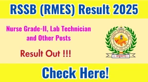RSSB (RMES) Paramedical Staff Exam Result 2025 OUT (Direct Link) - Download Scorecard @rssb.rajasthan.gov.in RSSB (RMES) Paramedical Staff Exam Result 2025 OUT (Direct Link) - Download Scorecard @rssb.rajasthan.gov.in
