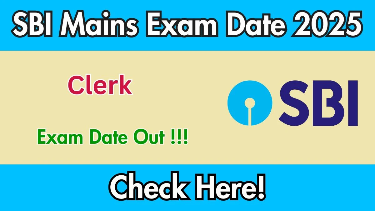 SBI Clerk Mains Exam Date 2025 Out for 6589 Posts at sbi.co.in Check Details Here
