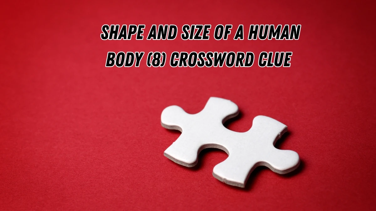 Shape and size of a human body Crossword Clue Irish Daily Mail Quick 8 letters Answer