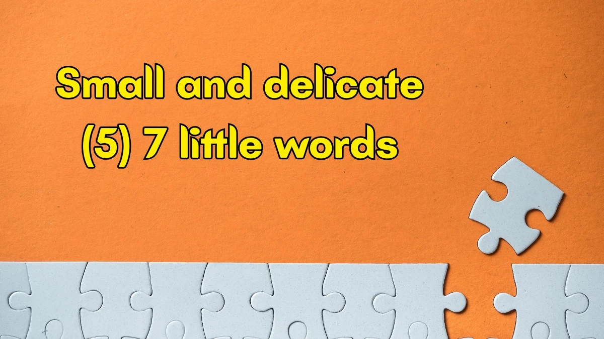 Small and delicate 7 Little Words 5 letters Answer