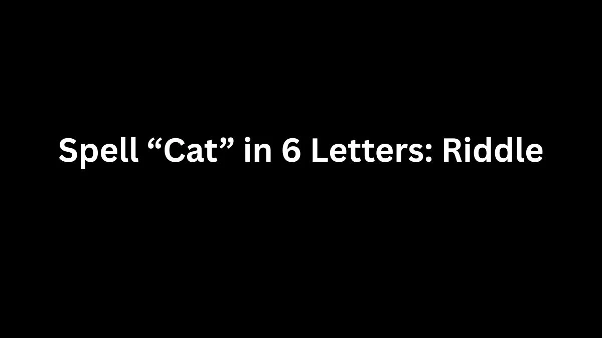 Spell “Cat” in 6 Letters: Riddle Explained