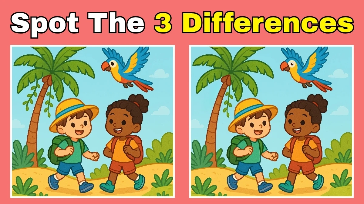 Spot 3 differences between the two pictures in 15 seconds. Test your observation skills