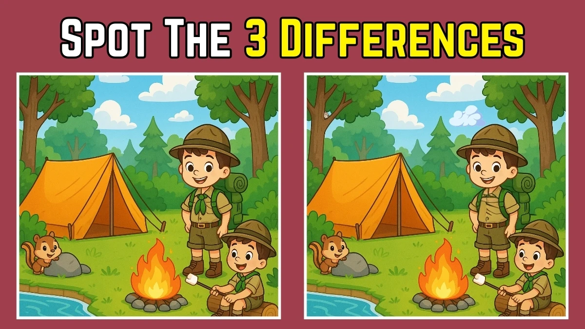 Spot 3 Differences in Camping Image - Can You Find Them in 12 Seconds