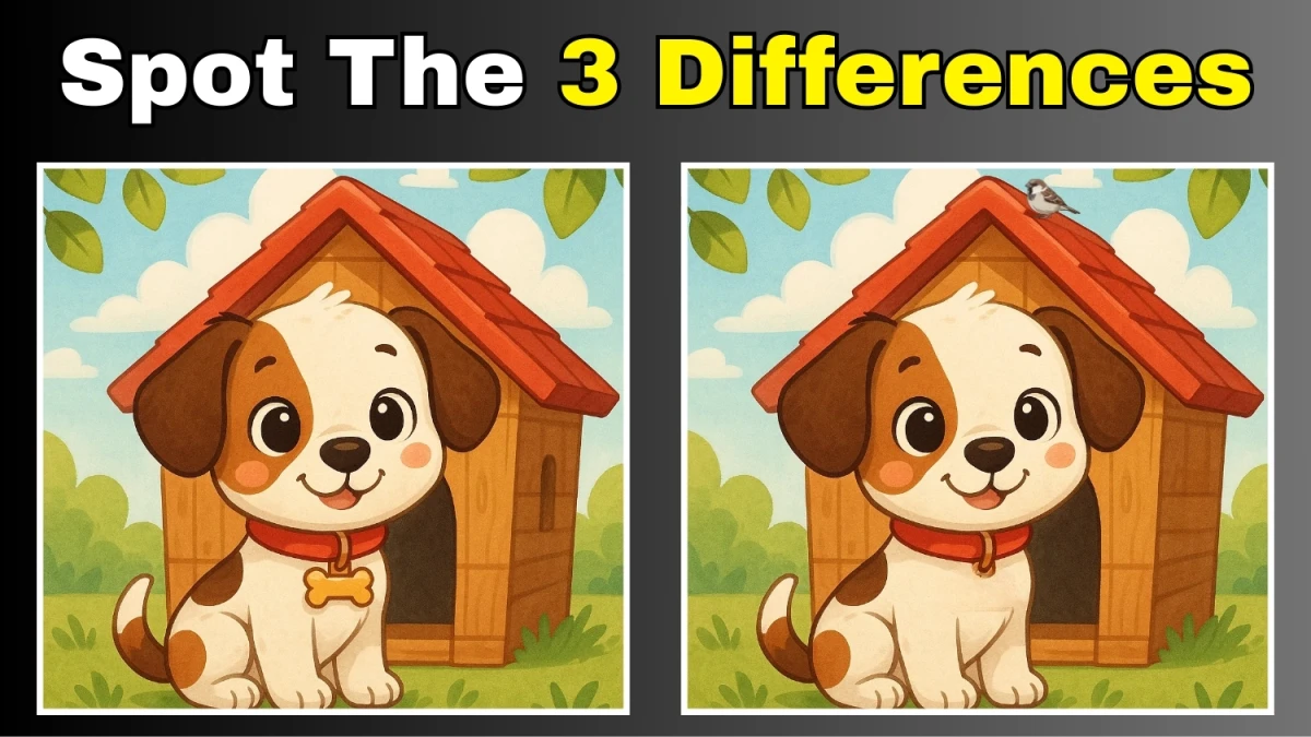 Spot 3 Differences in Dog Image - Can You Find Them in 12 Seconds
