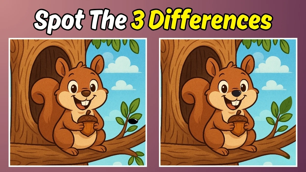 Spot the 3 Hidden Changes in This Squirrel Image – 12-Second Challenge