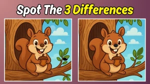 Spot the 3 Hidden Changes in This Squirrel Image – 12-Second Challenge