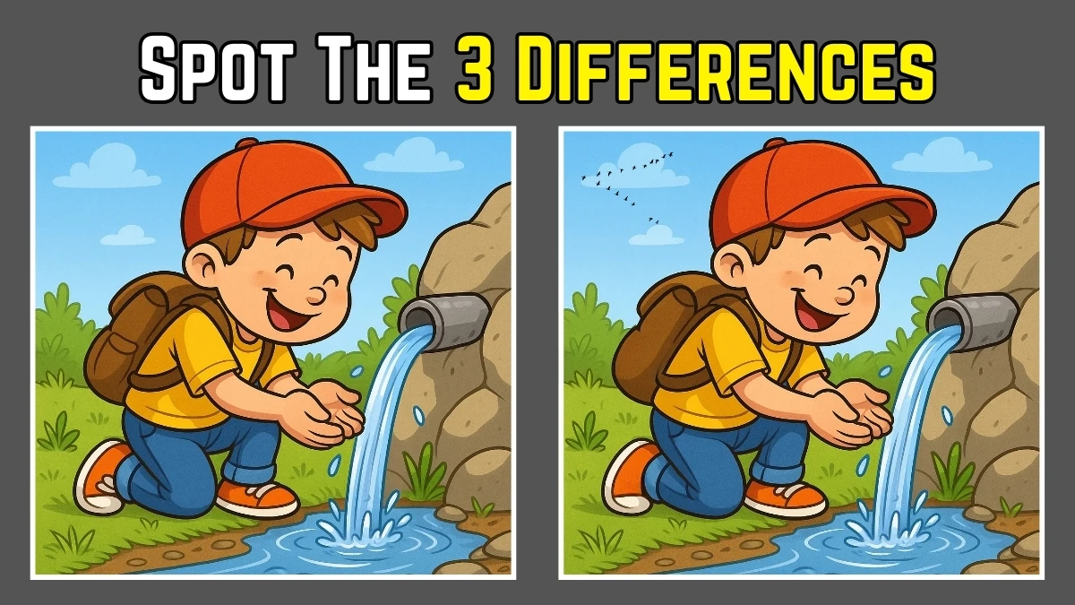 Spot The Difference: Can you spot 3 differences between the two pictures in 12 seconds?