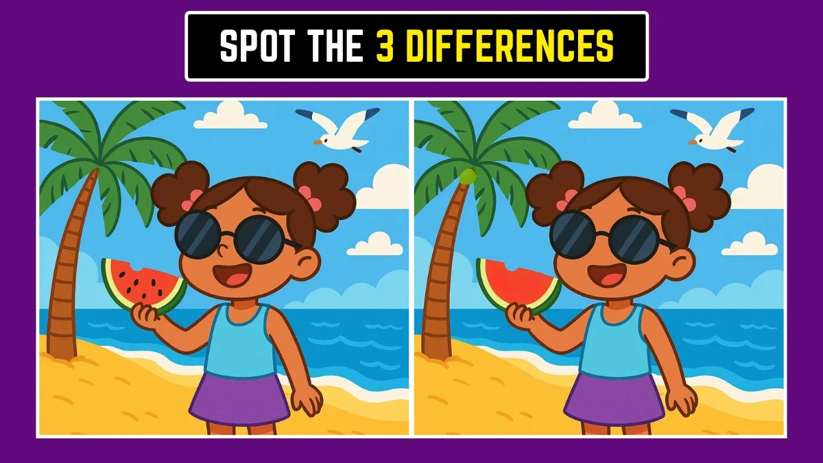 Spot the Difference: Can you Spot the 3 Differences in this Girl on the Beach Image in 10 Secs
